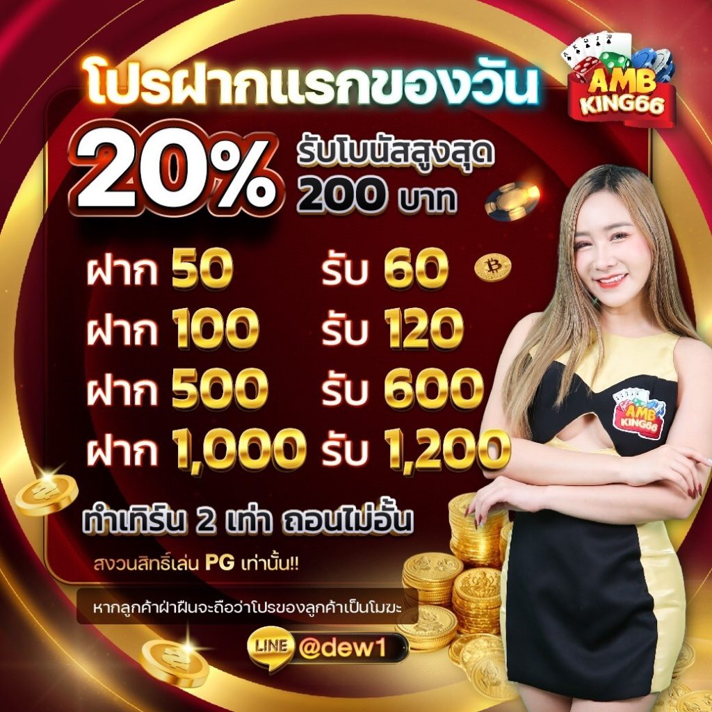 โปร20